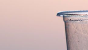 Lo dejaron sin beber agua durante siete días seguidos como castigo.