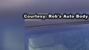 Una tortuga impacta en su auto.