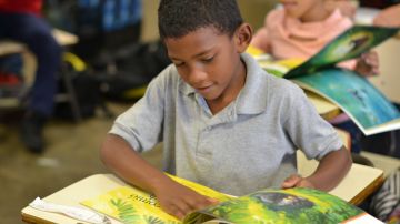 Unos 1,700 estudiantes de Kindergarten a tercer grado en escuelas de los pueblos de Carolina y San Juan, Puerto Rico, han sido beneficiados con los programas educativos de la Fundación Flamboyán.