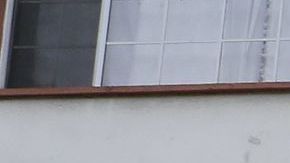 Grafiti con el que la MS-13 busca marcar territorio en Los Ángeles.