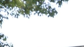 05/08/18/LOS ANGELES/Los Angeles Police search a car parked, on the corner of W. 42nd Street and Walton Avenue, after a man barricaded himself inside an apartment.ÊÊ Los Angeles police were called to the scene aroundÊ2:30 a.m.Êafter getting reports of a shooting. The gunman was later taken into custody without incident, and no injuries were reported. (Photo by Aurelia Ventura/La Opinion)