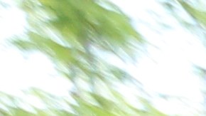 Elecciones maana en Queens por Fiscal del Condado tienen la hispana Tiffany Caban.