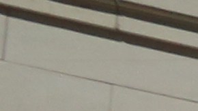 Cientos protestaron en las escalinatas del City Hall por el exceso de regulación y costos de los pequeños negocios en Nueva York./Mariela Lombard