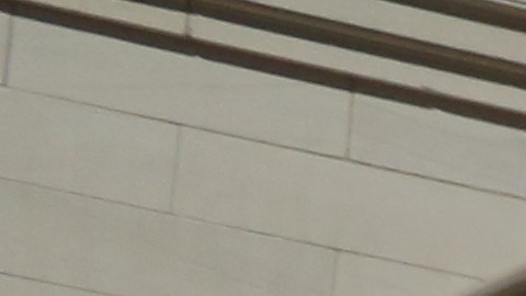 Cientos protestaron en las escalinatas del City Hall por el exceso de regulación y costos de los pequeños negocios en Nueva York./Mariela Lombard
