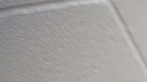 Adelanto Detention Female