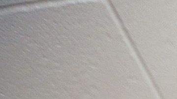 Adelanto Detention Female