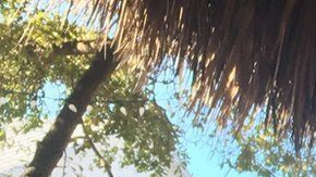 Willy Phillips tenía 13 años cuando sucedió el accidente.