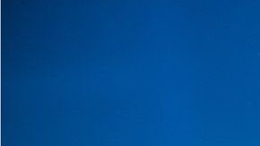 Los meros Goliat hacen gran ruido cuando algo se les acerca.