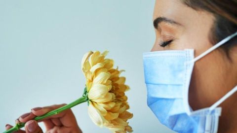 Existen muchas creencias acerca de la llamada fiebre del heno.