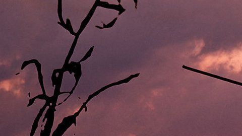 La magia blanca y la brujería están al alza en Estados Unidos.