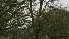 Este monte de tierra fue la frontera más remota del imperio romano.
