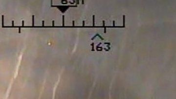 Estas son algunas de las imágenes reveladas por Estados Unidos.