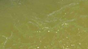 Chanchal Lahiri era conocido como "Mandrake".