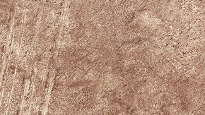 Este dibujo es de una especie de colibrí llamada ermitaño.