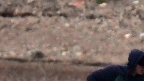 Dos orcas fueron liberadas este jueves.