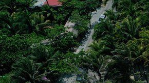 El sargazo se acumula más en algunas playas del Caribe mexicano.