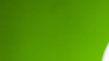 WhatsApp dio algunas fechas límite a algunos de sus usuarios.