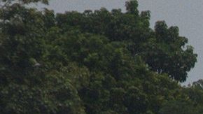 Migrantes hondureños cruzan el río Suchiate, en la frontera de México y Guatemala.