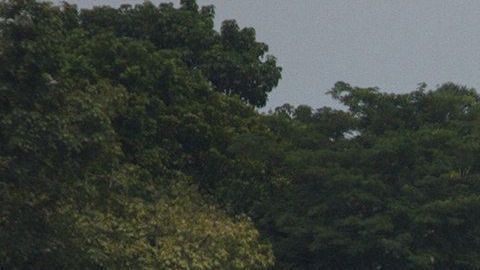 Migrantes hondureños cruzan el río Suchiate, en la frontera de México y Guatemala.