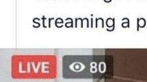 Un gobierno provincial de Pakistán da una conferencia en vivo con el filtro de gato.