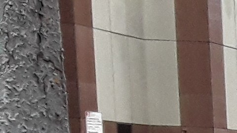 Tras el cierre de los accesos al edificio 787 los rumores de un "supuesto ataque" no cesaron