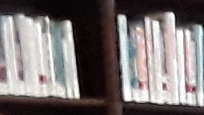 Más de 70 mil cartas apoyan una revisión presupuestaria de los fondos a las bibliotecas públicas.