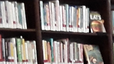 Más de 70 mil cartas apoyan una revisión presupuestaria de los fondos a las bibliotecas públicas.