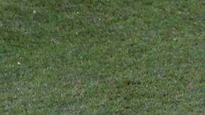 Kinsey Wolansky se hizo famosa globalmente al invadir la cancha durante la final de la Champions en Madrid.