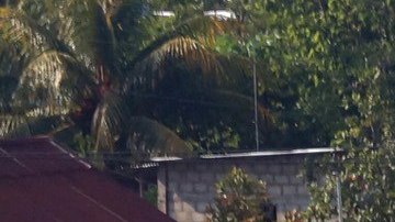 El objetivo es frenar el flujo de migrantes. EFE/ Carlos López