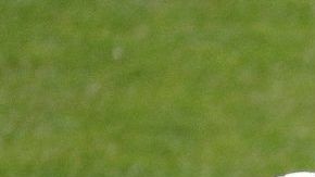Brasil busca triunfar en su Copa América en este 2019.