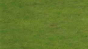 Jugadores de Perú celebran al final del partido contra Bolivia en la Copa América.