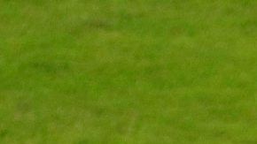 Lionel Messi celebra un gol para Argentina frente a Paraguay en la Copa América.