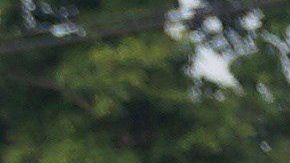 Las inmigrantes embarazadas alojadas en albergues en México.