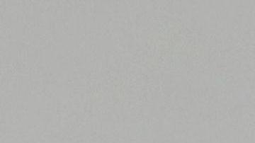 El hasta ahora director en funciones del Servicio de Inmigración y Aduanas (ICE, en inglés), Mark Morgan, asumirá el control de la Patrulla Fronteriza (CBP, en inglés), en medio de las denuncias sobre las condiciones de detención de menores en el país.