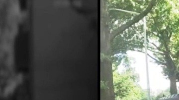 Auto volcado en acera de El Bronx