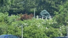 Policías y bomberos en la escena