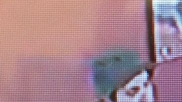 Fotos publicadas por el LASD del sospechoso  descrito como un hombre blanco de unos 20 a 30 años de edad.