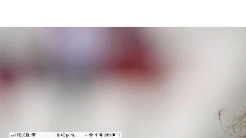 Amr Warda fue apartado de la selección de Egipto tras darse a conocer videos y chats que lo delatan