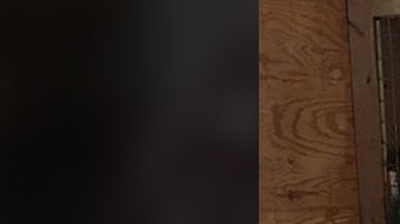 La jirafa Abril con una de sus crías