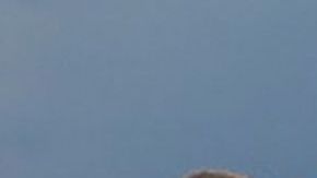 Edith González y Aracely Arámbula