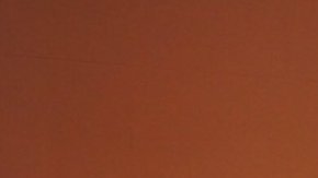 Oficiales estatales arrestaron a 61 personas en Albany, tras manifestarse para que aprueben las leyes de alquiler