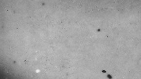 Babe Ruth sigue batiendo récords, aun después de muerto.