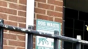 NYPD acordonó la entrada de 128 Lewis Avenue, en Bedford-Stuyvesant