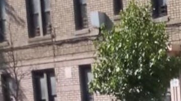 NYPD revisa la escena en Concourse Village