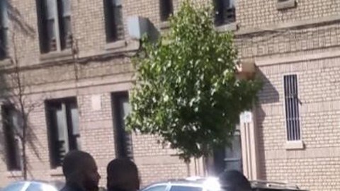 NYPD revisa la escena en Concourse Village