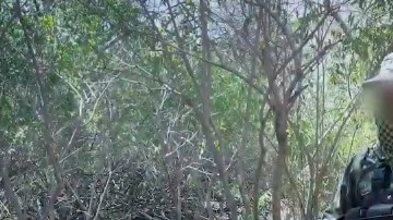 El sicario argumentó que su sueldo es bajo.