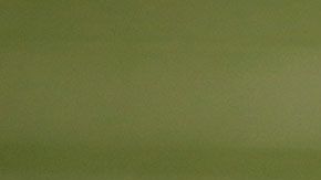 Calvin Johnson es uno de los que ha podido hacer una buena fortuna con los restaurantes de comida rápida.