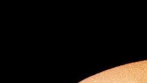 Cada vez son más las grandes empresas que buscan tener una participación en el mercado de las hamburguesas vegetales.