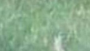 Cártel Jalisco Nueva Generación y Los Viagras se dejan brutal regalo