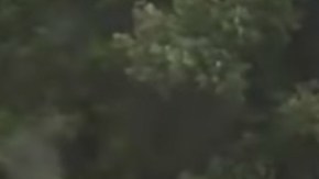 La serpiente al pasar por las cabezas de la pareja.